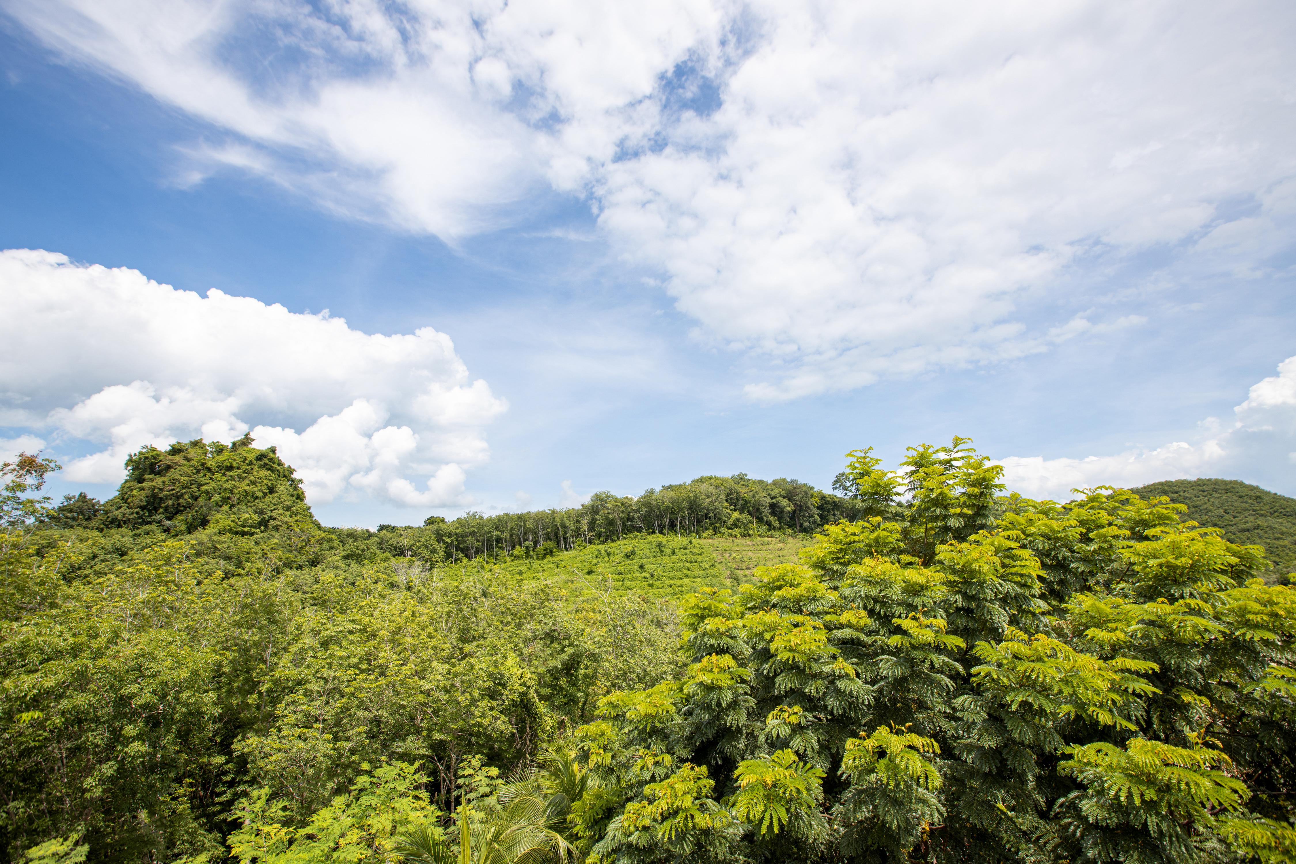 Samsam Yao Noi - Andaman Magic & Art Villas Ко-Яо-Ной Екстер'єр фото